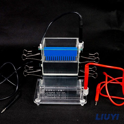 北京六一小型單垂直電泳儀DYCZ-23A