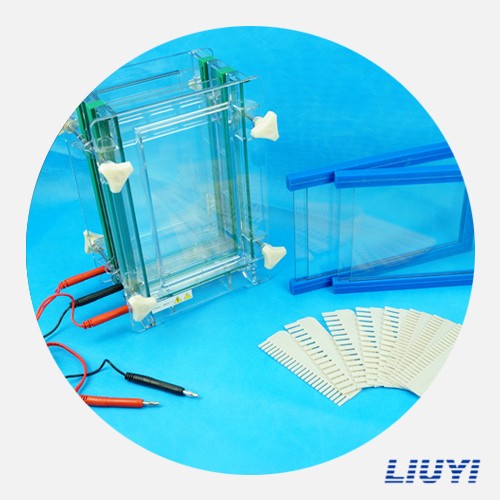 北京六一雙板夾芯式垂直電泳儀（大）DYCZ-28D